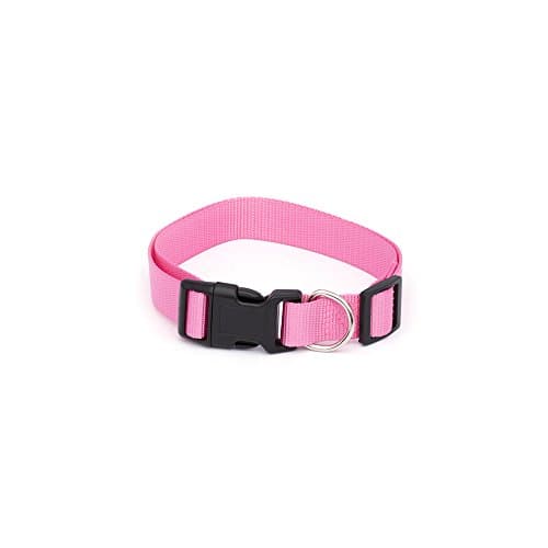 Pet Champion Classic No Pull Extra Durable Adjustable Dog Collar, Pink Lemonade, Small 3/8in x 8-14in