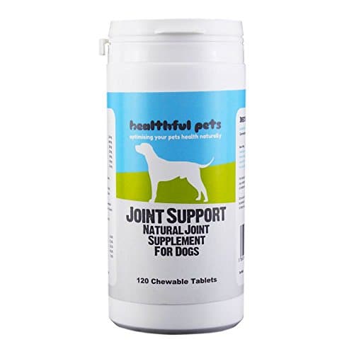 Healthful Pets Joint Support 120 Chewable Tablets