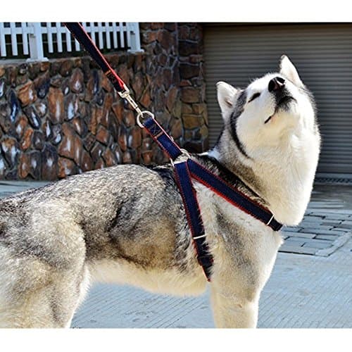CDQ No-Pull Dog Leash Harness, Freedom Adjustable and Heavy Duty Denim Dog Training Walking Leash Collar for Large/Medium/Small Dog