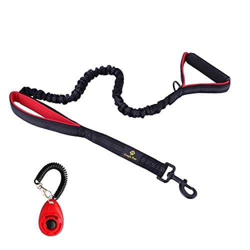 Heavy Duty Dual Handle Dog Leash, No Pull Shock Absorbing Reflective Double Lead Padded 2 Handles for Traffic Safety Control with Dog Training Clicker, 4-6 Feet, Perfect for Medium to Large Dogs