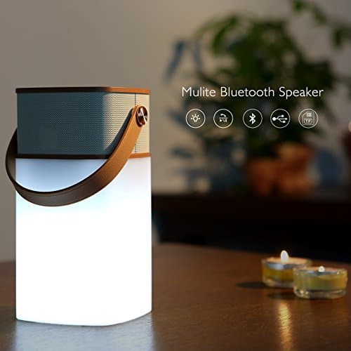 Homember Mulite Waterproof Wireless Bluetooth Speaker with Dimmable LED Light, Brown