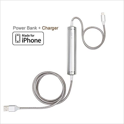 EXO iPhone &amp; iPod Power Cable (Platinum) - MFI Certified Lightning Sync Cable 2600mAh Power Bank Battery for iPhone5/6/7/8/X, iPhone Plus, iPods, Length 4' &amp; Lithium Ion Battery, Warranty 1 yr, 4.5oz