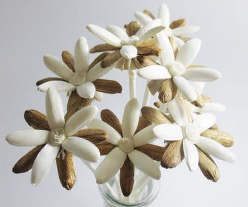 50 PCS Rangoon Creeper Flower Sola Wood Reed Diffuser Decor Wedding Fragrance Good Feeling Gift