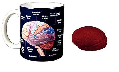 Crossings Brain Coffee Mug Bundle with Brain Stress Ball