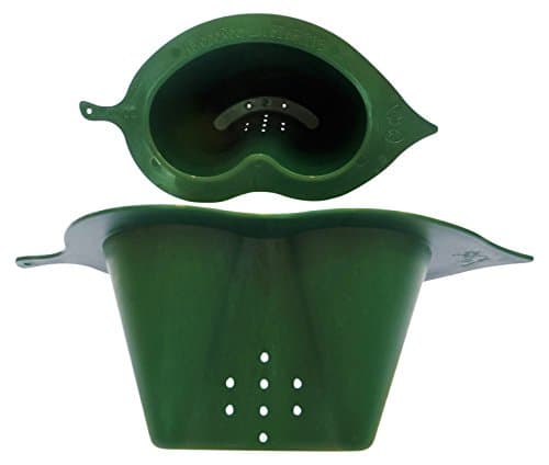 HYDROROOT Root Watering Vessel, Pack of 6