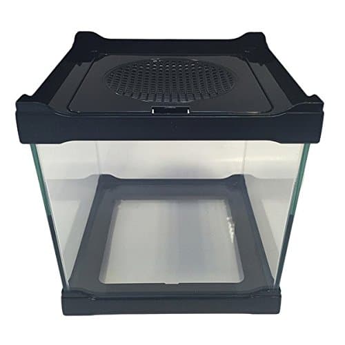 Small Stackable Glass Pet Reptile Insect Betta Shrimp Tank - BLACK 16x16x16 cm