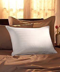 Pacific Coast 75/25 Down and Feather Pillow - Standard Size (20 x 26) by Pacific Pillows