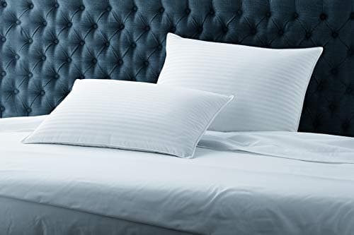 Blue Ridge Home Fashions White 300 Thread Count Stripe Pattern Luxury Hypoallergenic Pillow Insert-600 Fill Power-Single Pack, Jumbo