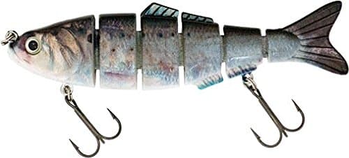 Real Fish Bait The Winner Sinking Lure