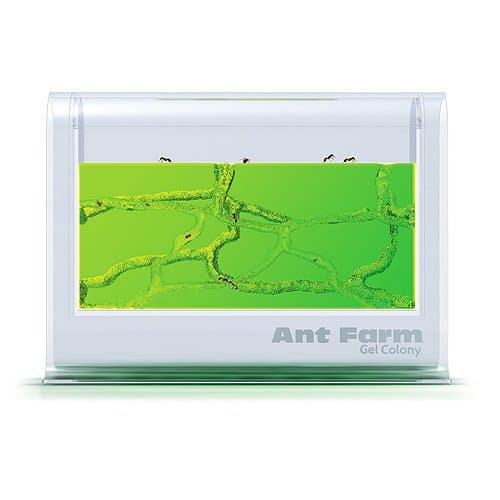 Uncle Milton Ant Farm Gel Colony