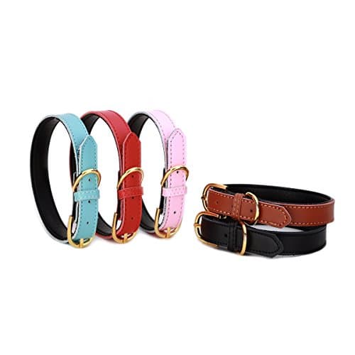 Petween Basic Classic Padded Leather Pet Collars for Cats Puppy Small Medium Dogs