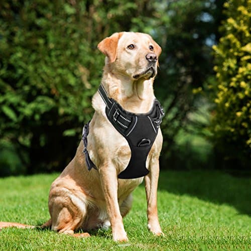 Lifepul(TM) Front Range No Pull Dog Vest Harness - Dog Body Padded Reflective Vest with Handle - Oxford Material Vest for Dogs Comfort Control for Small Medium Large Dogs in Training &amp;Walking