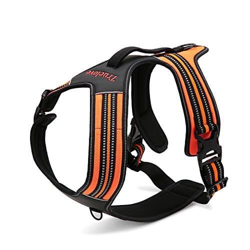 Fashion Shop Front Range No-Pull Dog Harness 3M Reflective Outdoor Adventure Pet Vest with Handle.New 2015 Truelove Model Offered in 3 Stylish Colors-Orange XS