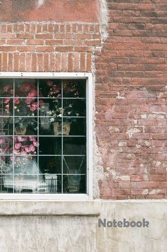 Notebook: Notebook 120 Lined pages. Brick Wall with Window 6" X 9" (Notebooks)