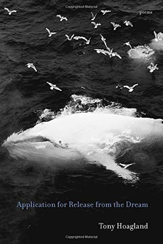 Application for Release from the Dream: Poems