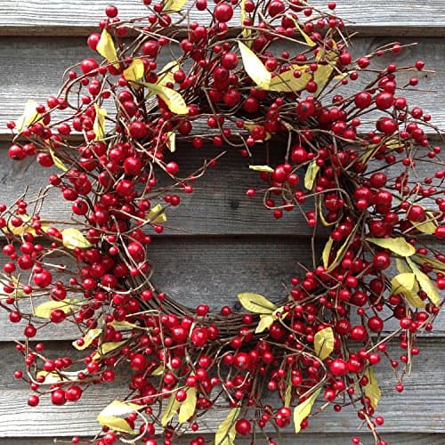 Flora Decor Mixed Berry Wreath 22" - Red