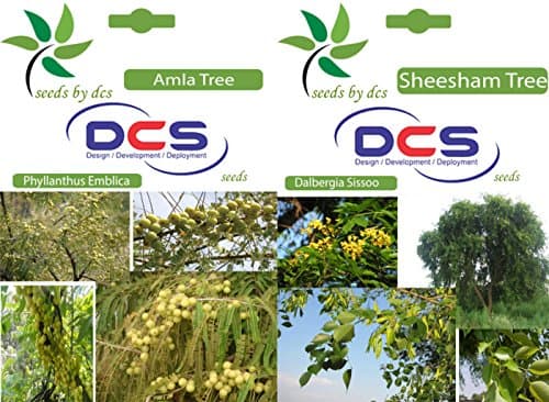 DCS Amla Tree and Sheesham Tree Seeds (White)