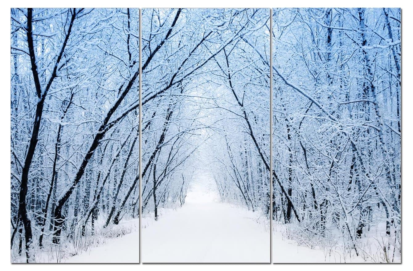 Forest Wall Art Decor - 3 Piece Set, Decorative Framed Winter Snow Tree Canvas Art Multi Panel Split Prints for Living Room, Kitchen, Bedroom, Office & Home Decor Gift
