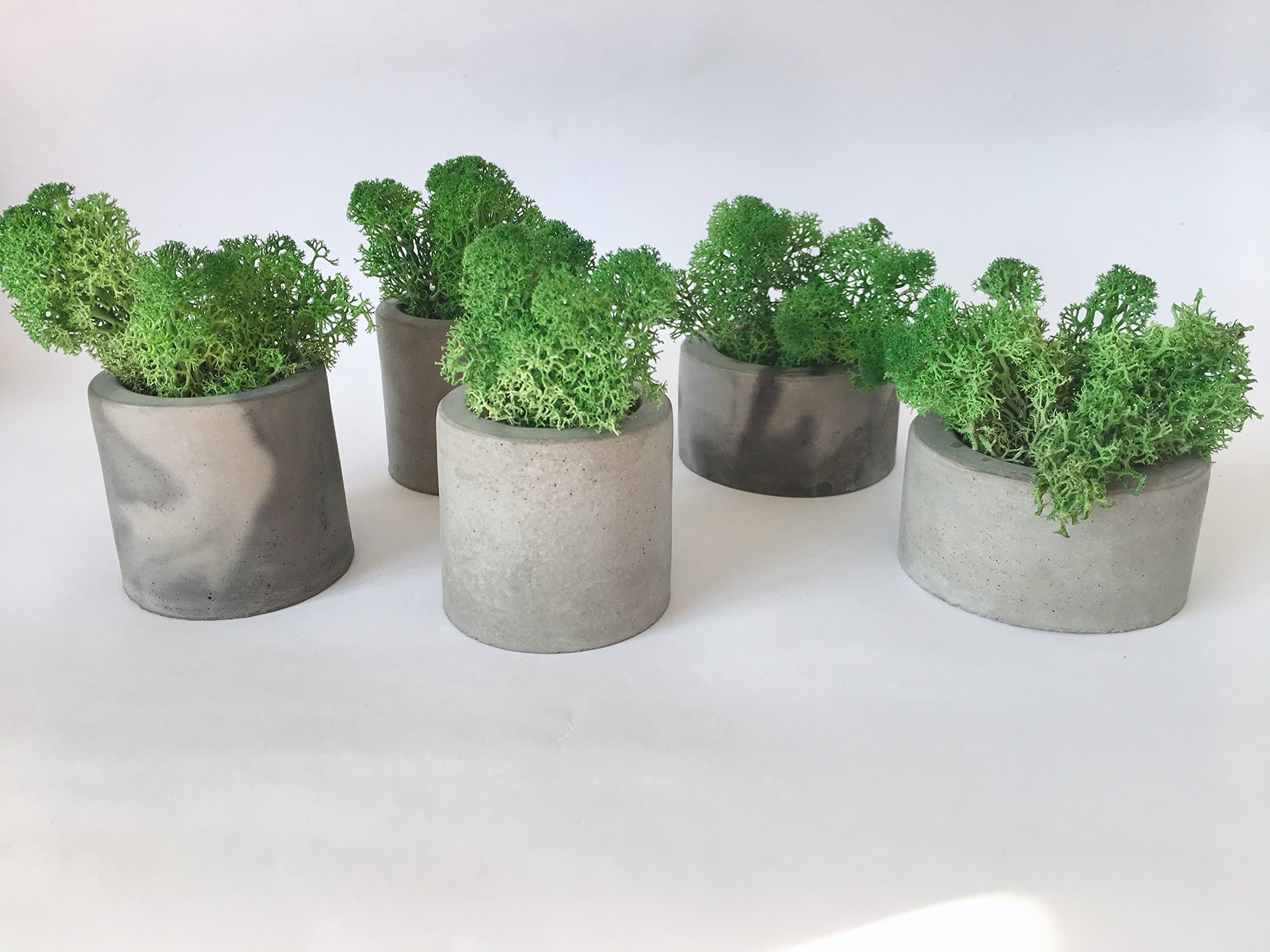 Concrete Succulent Planter, candle holde