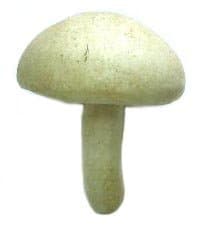 Artificial Mushroom, White, Box of 12