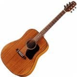 D351 Dreadnought Guitar