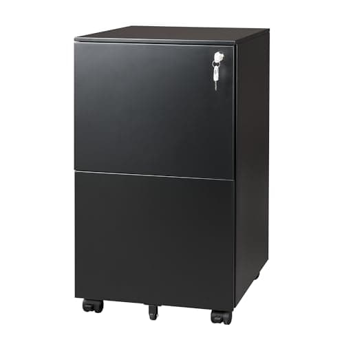 DEVAISE 2-Drawer Mobile File Cabinet with Lock, Commercial Vertical Cabinet in Black
