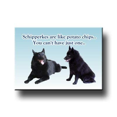 Schipperke Can't Have Just One Fridge Magnet