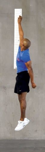 Power Systems Wall-Mounted Vertical Jump Tester, 50 x 6 Inches, Black/White (22505)