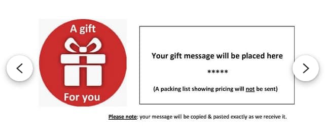 Flat Earth Map Dome Display Model