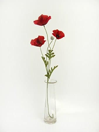 A+ 62cm Artificial Poppy Flower Stem (2 Stems, Red)