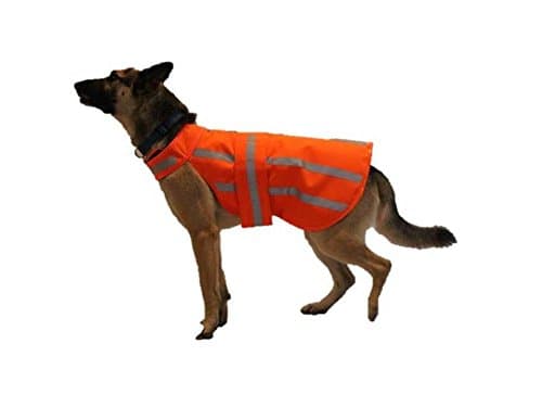 Dog Hunting Jacket (High Visibility / WaterProof) XLARGE