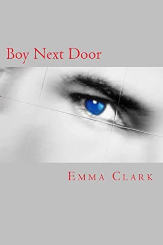 Boy Next Door Paperback – 13 Nov. 2013