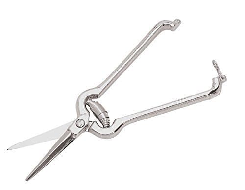 Nantucket Seafood Lobster Shears