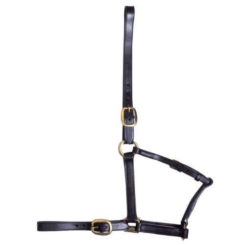 GFS Yearling Leather Headcollar - Brown, One Size