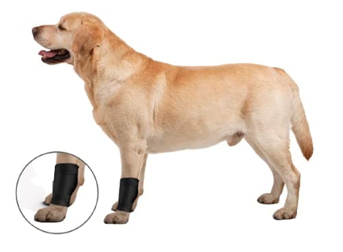 ZenPet Ligament Wrap for Dogs (Medium)