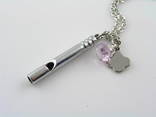 Personalized Necklace with Whistle and Amethyst