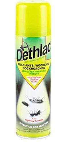 2 x Dethlac 250 ml Insecticidal Lacquer (Kills Insects such as Ants, Woodlice and Cockroaches, Surface Spray for Homes and Gardens, Remains Effective for Months)