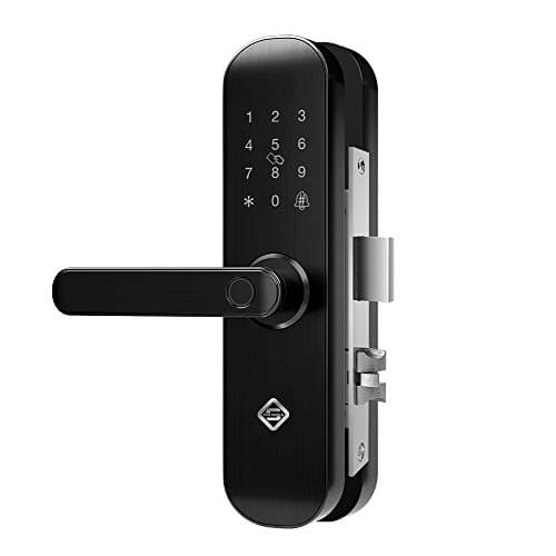 PINEWORLD Smart Door Lock, 202 Electronic Keyless Entry Door Sash Mortise Lock, 6 Ways to Unlock and Business Manage for Door Lock Security, Handle Reversible (Backset 2'') (202-L)