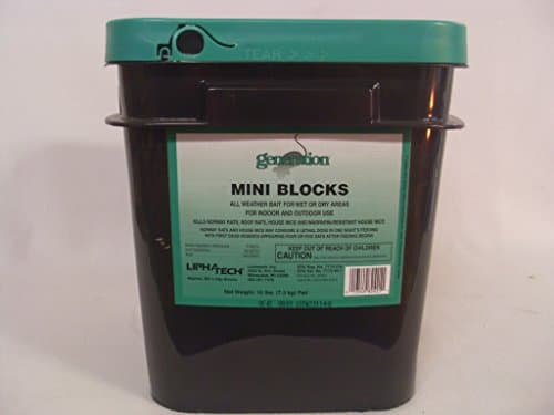 Generation Mini Blocks