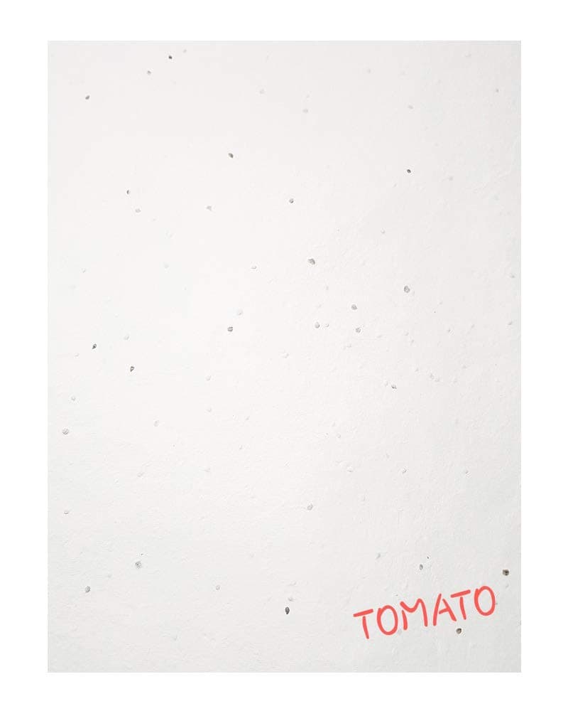 DEVRAAJ Eco Friendly White Plantable Tomato Seed Paper 5 x 7 inch card with Envelope set of (50)