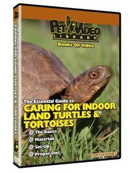 PET Video Land Turtle & Tortoise DVD