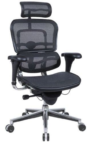 Ergohuman Executive Chair (With Headrest)