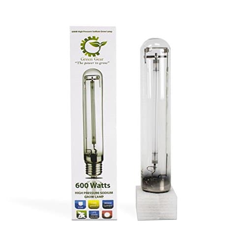 High Pressure Sodium (HPS) Bulb (600W)