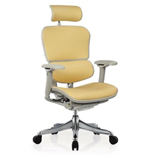 Ergohuman Executive Chairs (with Grey Frame.Yellow Leather)