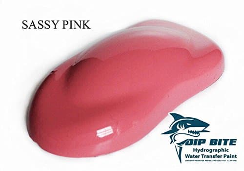 Dip Bite Sassy Pink 16 Oz Aerosol Spray Can Hydrographic Water Transfer Printing Hydro Dipping Dip Paint
