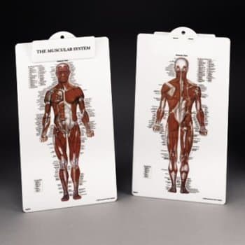 AWW 8946PCB Muscle Man Plastic Clipboard