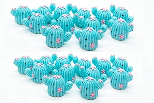 Glossy Grin Cute Lip Gloss Containers - DIY Empty Containers Summer Collection (24 Pack, Cactus)