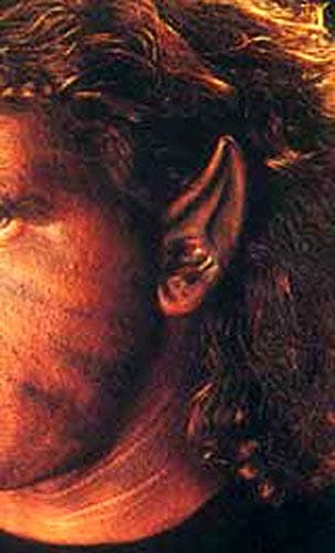 Horror-Shop Werewolf Latex ears