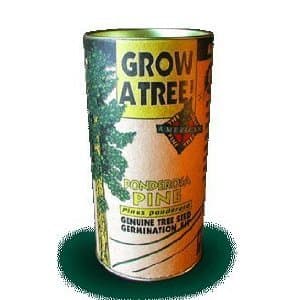 Tree Growing Kit - Ponderosa Pine