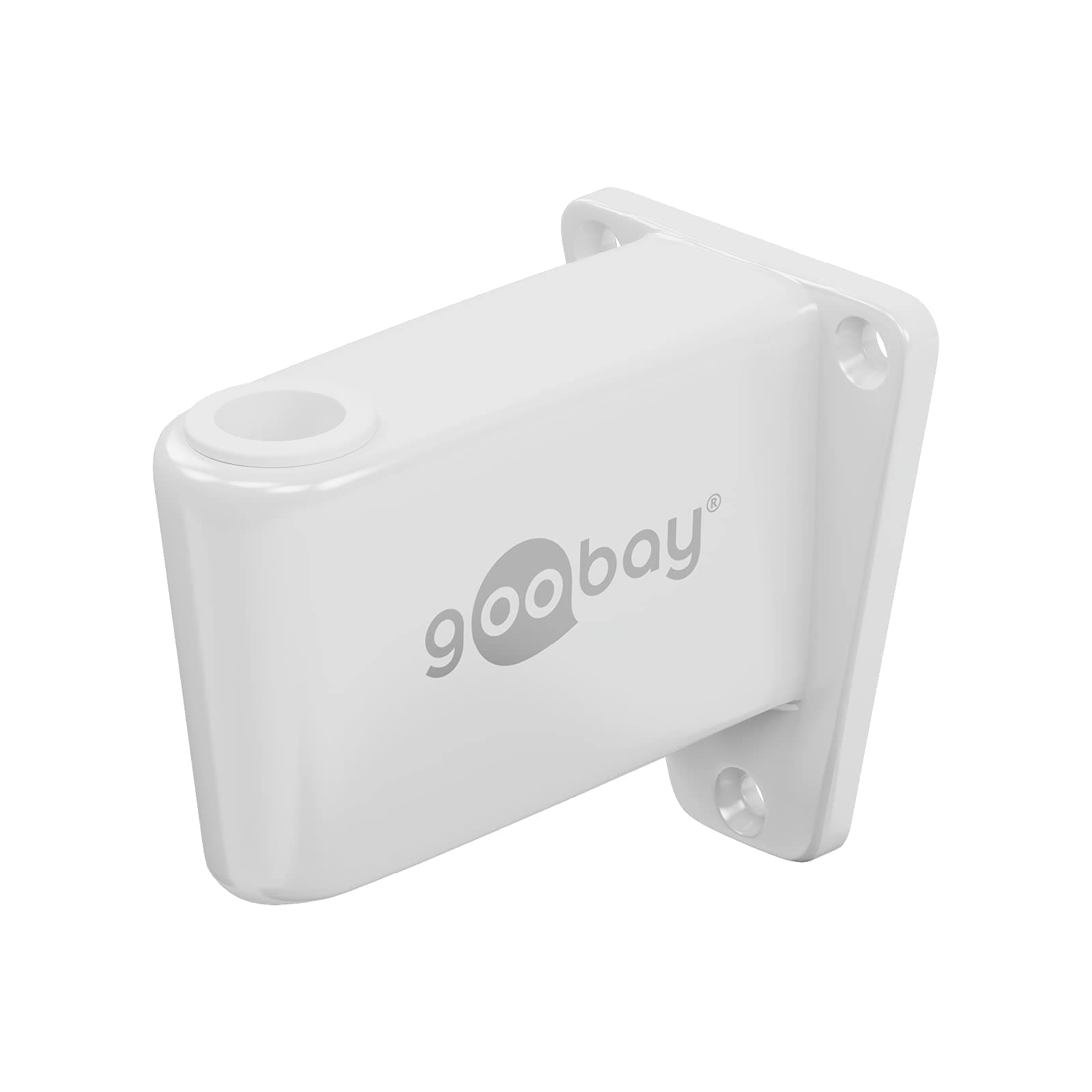 Goobay55771 Wall Mount for Magnifying Lamp